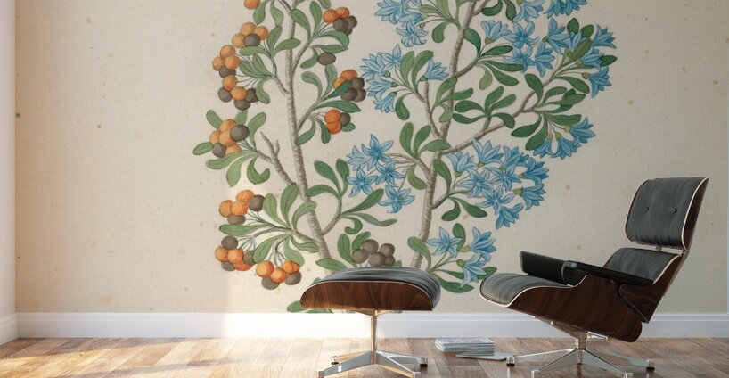 Pentand. mono. [Ehretia rigida] 1817 Wall Murals