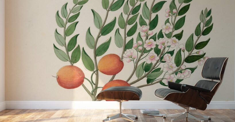 Eugenia or. Jambo [Eugenia albanensis] 1817 Wall Murals