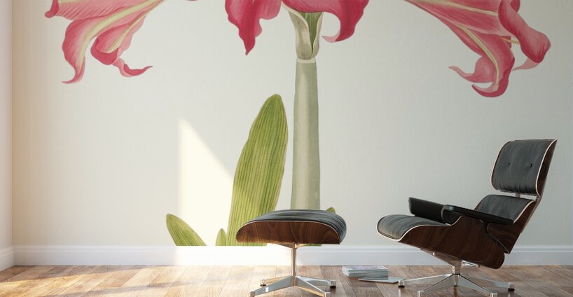 Amaryllis Solandriflora Var. Or Amaryllis Johnsoni 1834 Wall Murals