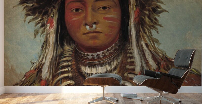 Boy Chief – Ojibbeway 1843 Wall Murals