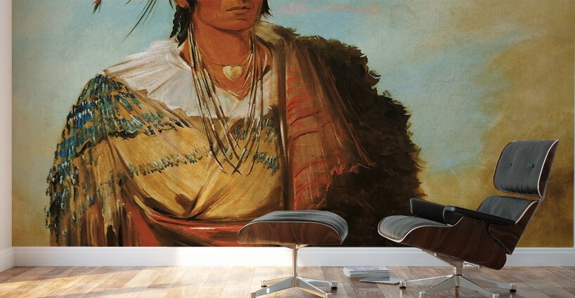 Go-To-Ków-Páh-Ah Stands By Himself a Distinguished Brave 1830 Wall Murals