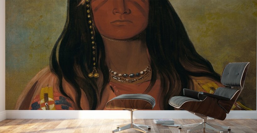 H’co-A-H’co-A-H’cotes-Min No Horns On His Head a Brave 1832 Wall Murals