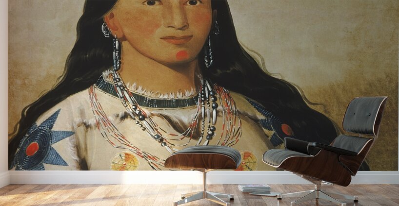 Mi-Néek-Ee-Súnk-Te-Ka Mink a Beautiful Girl 1832 Wall Murals