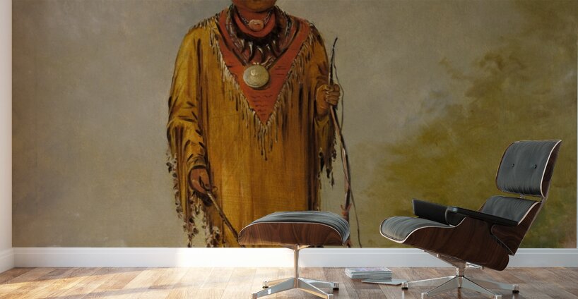 Me-Sóu-Wahk Deer’s Hair Favorite Son of Kee-O-Kúk 1835 Wall Murals