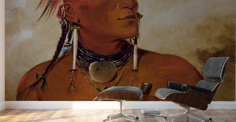 Meach-O-Shín-Gaw Little White Bear a Distinguished Brave 1832 Wall Murals