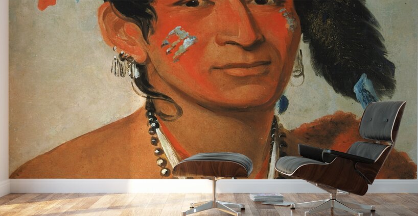 Sha-Wá-No The South a Noted Warrior 1831 Wall Murals