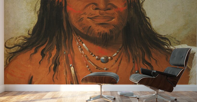 Ta-Wáh-Que-Nah Mountain of Rocks Second Chief of The Tribe 1834 Wall Murals