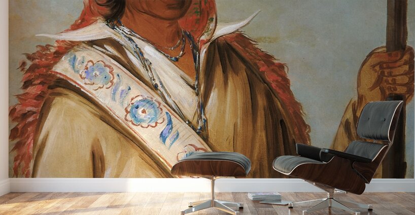 Steeh-Tcha-Kó-Me-Co Great King Called Ben Perryman a Chief 1834 Wall Murals