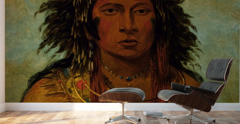 Say-Say-Gon Hail Storm War Chief 1845 Wall Murals