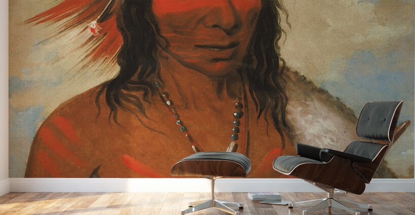 Wá-Nah-De-Túnk-Ah Big Eagle Or Black Dog Chief of The O-Hah-Kas-Ka-Toh-Y-An-Te Band 1835 Wall Murals