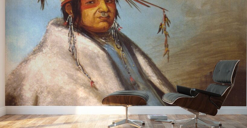 Non-on-dá-gon a Chief 1830 Wall Murals