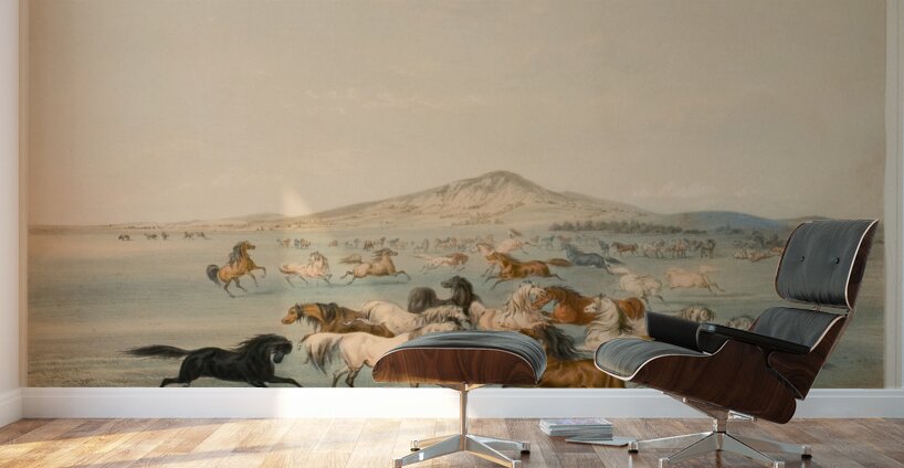 Wild Horses at Play 1844 Wall Murals