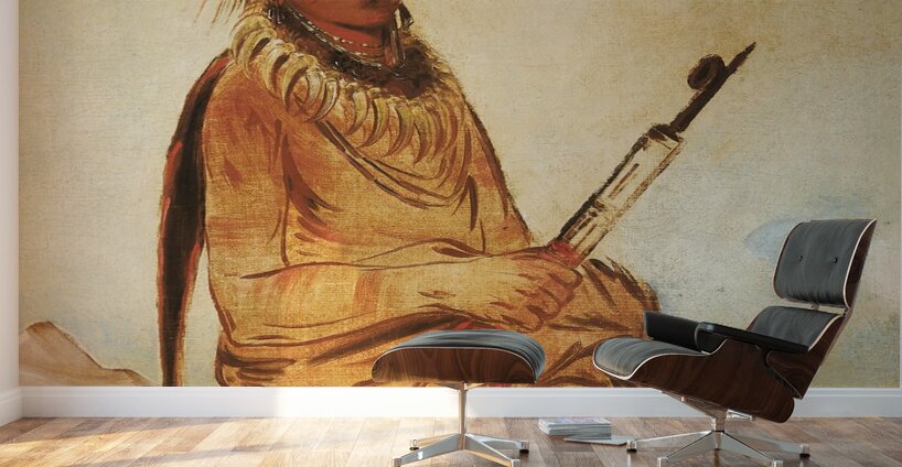 W’y-Ee-Yogh Man of Sense a Brave 1832 Wall Murals