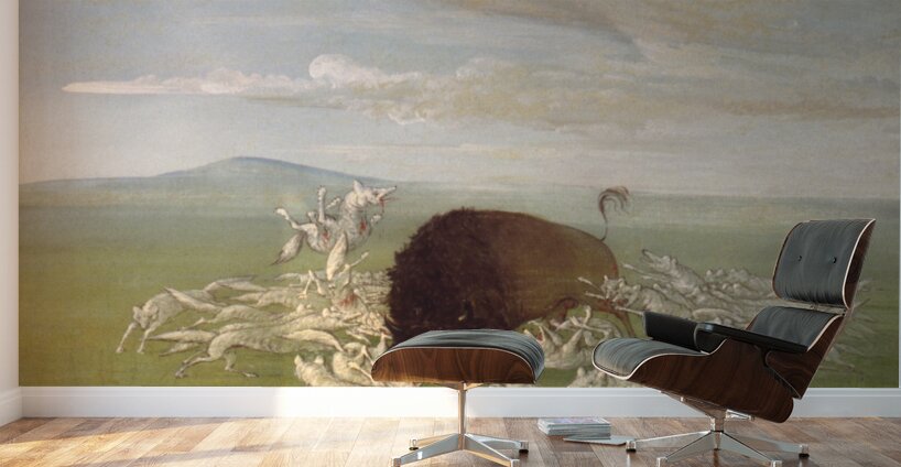White Wolves Attacking a Buffalo Bull 1832-1833 Wall Murals