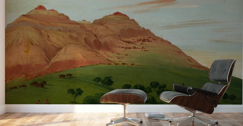 View In The Grand Detour 1900 Miles Above St. Louis 1832 Wall Murals