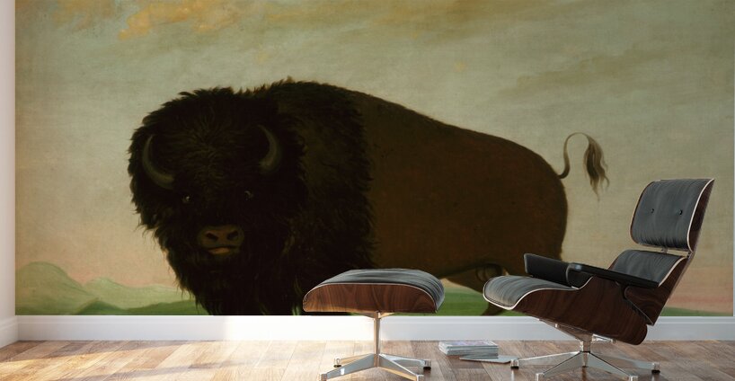 Buffalo Bull Grazing on the Prairie 1832-1833 Wall Murals