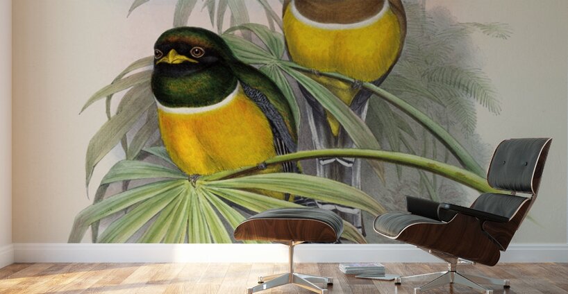 John Gould trogons 006 Wall Murals