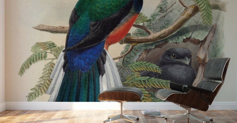 John Gould trogons 031 Wall Murals