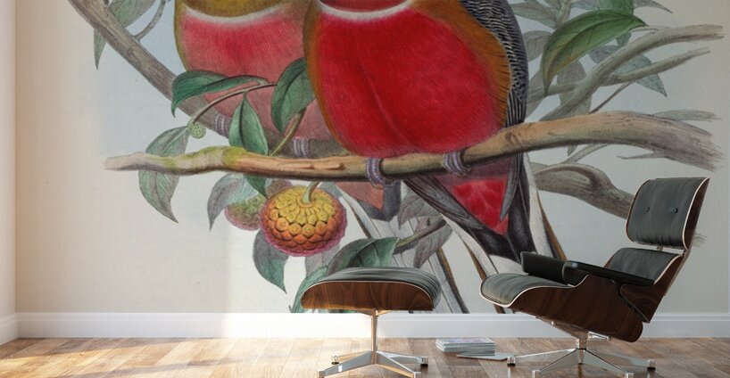 John Gould trogons 021 Wall Murals