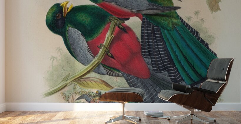 John Gould trogons 029 Wall Murals