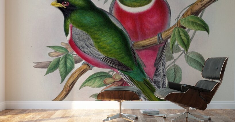 John Gould trogons 016 Wall Murals