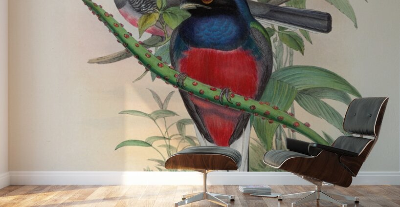 John Gould trogons 017 Wall Murals
