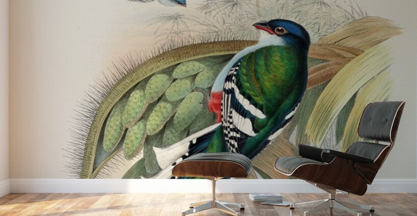 John Gould trogons 015 Wall Murals