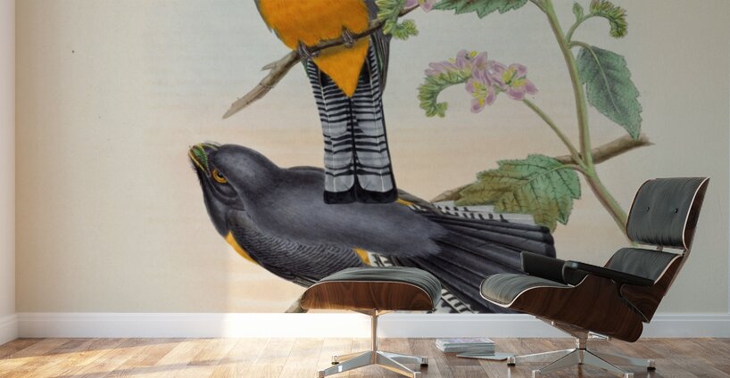 John Gould trogons 046 Wall Murals