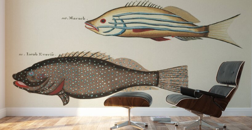 Colourful and surreal illustrations of fishes found in Moluccas Indonesia and the East Indies by Louis Renard 1678 -1746 from Histoire naturelle des plus rares curiositez de la mer des Indes 1754. Wall Murals