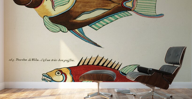 Colourful and surreal illustrations of fishes found in Moluccas Indonesia and the East Indies by Louis Renard 1678 -1746 from Histoire naturelle des plus rares curiositez de la mer des Indes 1754. Wall Murals