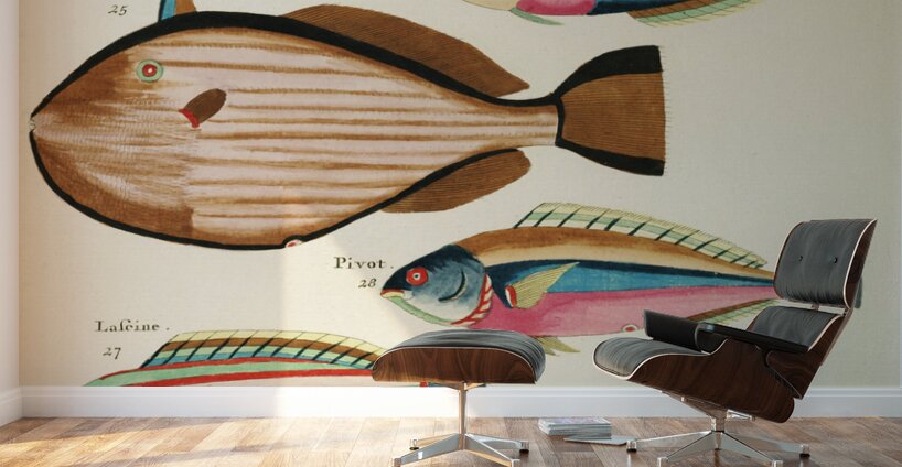Colourful and surreal illustrations of fishes found in Moluccas Indonesia and the East Indies by Louis Renard 1678 -1746 from Histoire naturelle des plus rares curiositez de la mer des Indes 1754. Wall Murals