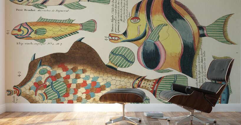 Colourful and surreal illustrations of fishes found in Moluccas Indonesia and the East Indies by Louis Renard 1678 -1746 from Histoire naturelle des plus rares curiositez de la mer des Indes 1754. Wall Murals