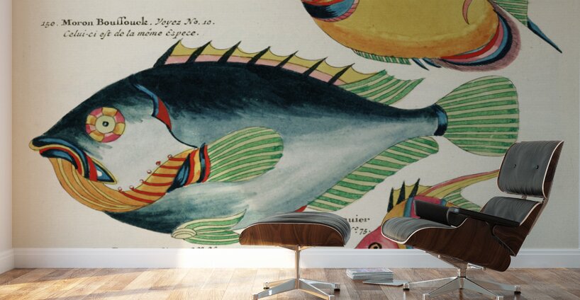 Colourful and surreal illustrations of fishes found in Moluccas Indonesia and the East Indies by Louis Renard 1678 -1746 from Histoire naturelle des plus rares curiositez de la mer des Indes 1754. Wall Murals