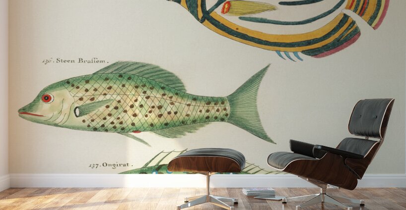 Colourful and surreal illustrations of fishes found in Moluccas Indonesia and the East Indies by Louis Renard 1678 -1746 from Histoire naturelle des plus rares curiositez de la mer des Indes 1754. Wall Murals
