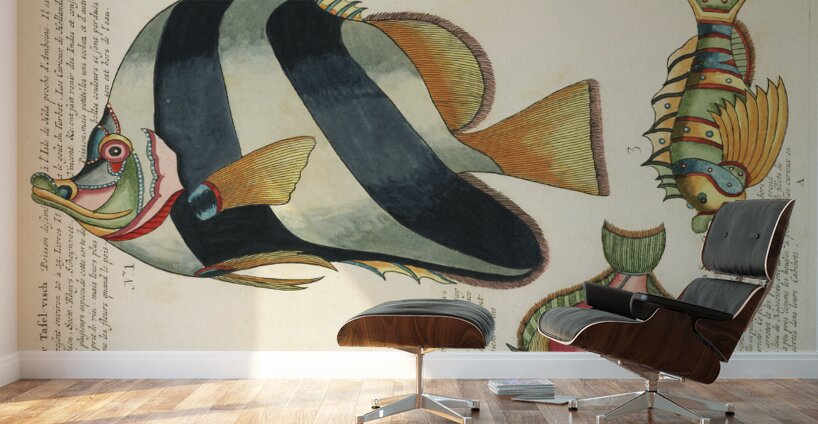 Colourful and surreal illustrations of fishes found in Moluccas Indonesia and the East Indies by Louis Renard 1678 -1746 from Histoire naturelle des plus rares curiositez de la mer des Indes 1754. Wall Murals