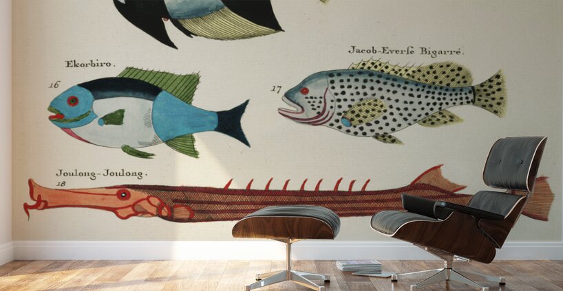 Colourful and surreal illustrations of fishes found in Moluccas Indonesia and the East Indies by Louis Renard 1678 -1746 from Histoire naturelle des plus rares curiositez de la mer des Indes 1754. Wall Murals
