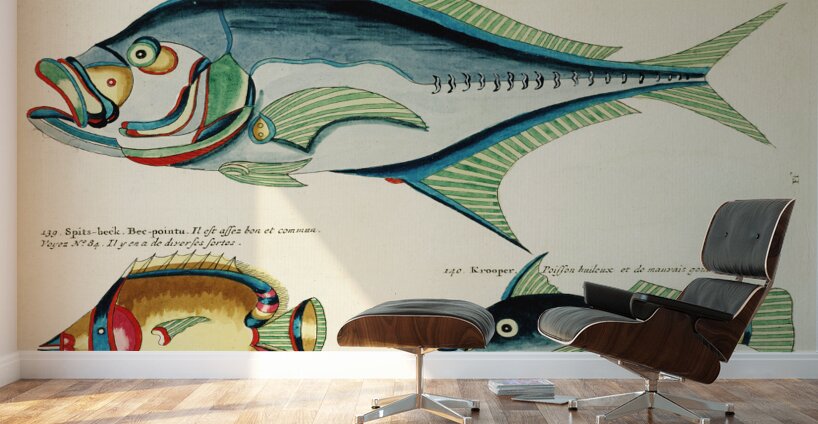 Colourful and surreal illustrations of fishes found in Moluccas Indonesia and the East Indies by Louis Renard 1678 -1746 from Histoire naturelle des plus rares curiositez de la mer des Indes 1754. Wall Murals