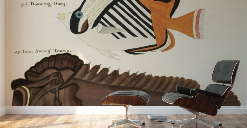 Colourful and surreal illustrations of fishes found in Moluccas Indonesia and the East Indies by Louis Renard 1678 -1746 from Histoire naturelle des plus rares curiositez de la mer des Indes 1754. Wall Murals