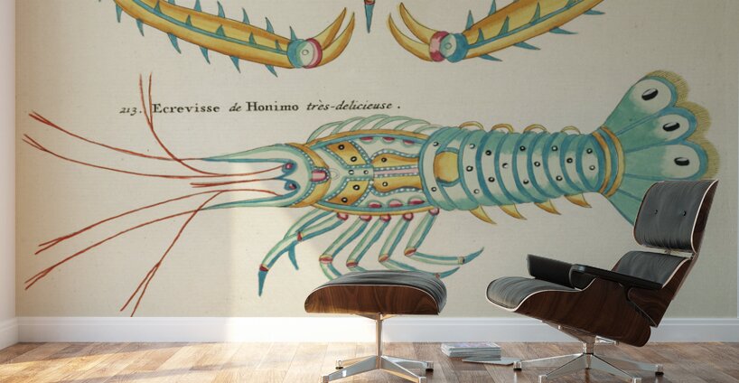Colourful and surreal illustrations of fishes and  found in the Indian and Pacific Oceans by Louis Renard 1678 -1746 from Histoire naturelle des plus rares curiositez de la mer des Indes 1754. Wall Murals