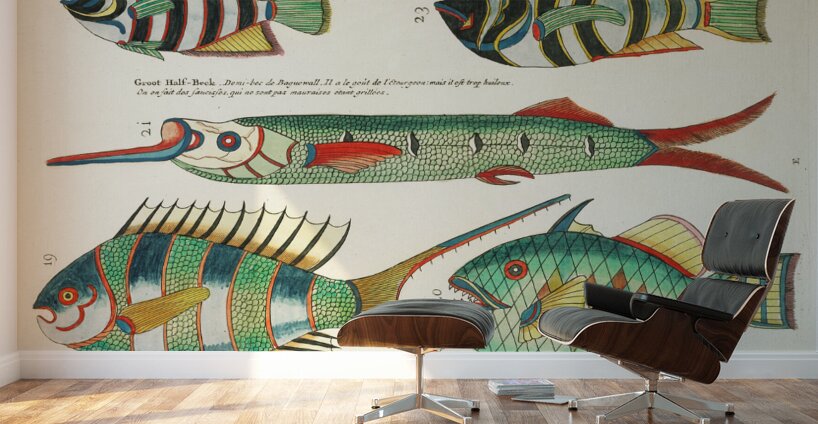 Colourful and surreal illustrations of fishes found in Moluccas Indonesia and the East Indies by Louis Renard 1678 -1746 from Histoire naturelle des plus rares curiositez de la mer des Indes 1754. Wall Murals