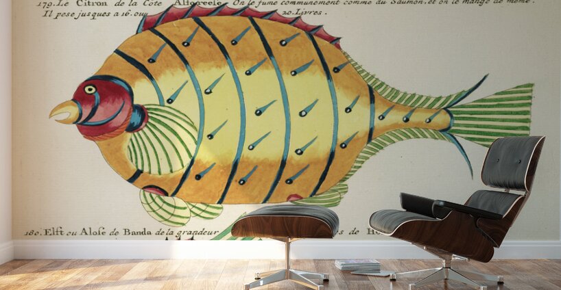 Colourful and surreal illustrations of fishes found in Moluccas Indonesia and the East Indies by Louis Renard 1678 -1746 from Histoire naturelle des plus rares curiositez de la mer des Indes 1754. Wall Murals