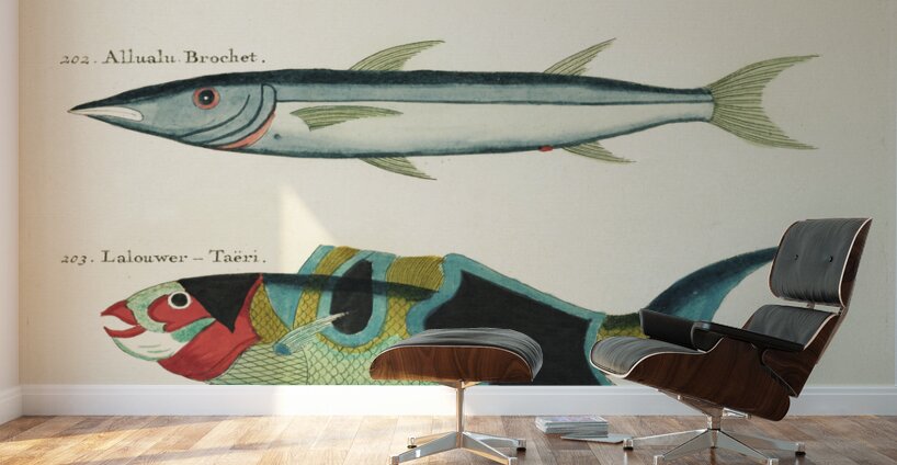 Colourful and surreal illustrations of fishes found in Moluccas Indonesia and the East Indies by Louis Renard 1678 -1746 from Histoire naturelle des plus rares curiositez de la mer des Indes 1754. Wall Murals