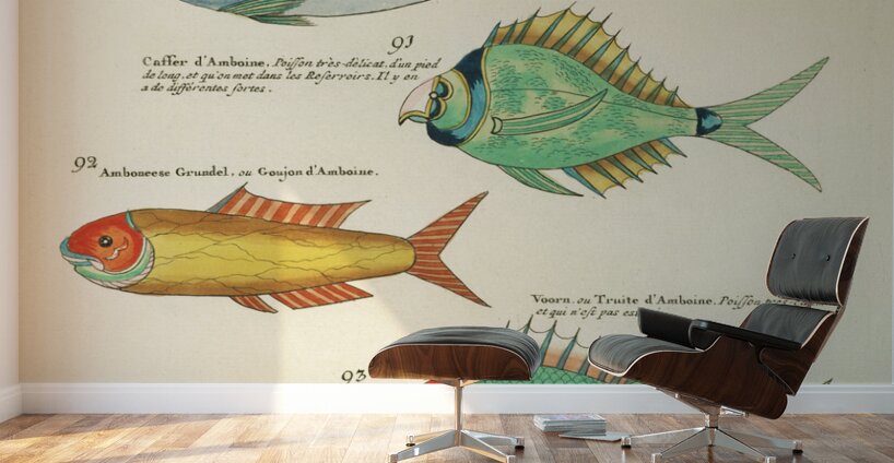 Colourful and surreal illustrations of fishes found in Moluccas Indonesia and the East Indies by Louis Renard 1678 -1746 from Histoire naturelle des plus rares curiositez de la mer des Indes 1754. Wall Murals