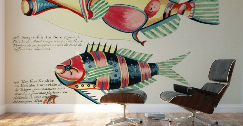 Colourful and surreal illustrations of fishes and crab found in the Indian and Pacific Oceans by Louis Renard 1678 -1746 from Histoire naturelle des plus rares curiositez de la mer des Indes 1754. Wall Murals