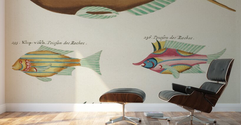 Colourful and surreal illustrations of fishes found in Moluccas Indonesia and the East Indies by Louis Renard 1678 -1746 from Histoire naturelle des plus rares curiositez de la mer des Indes 1754. Wall Murals
