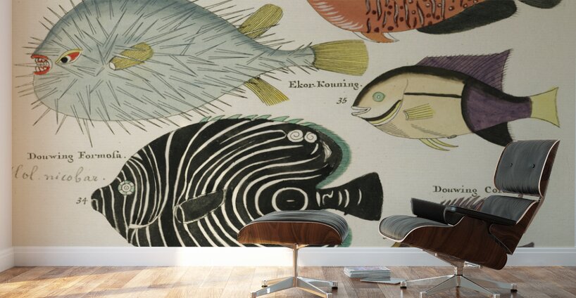 Colourful and surreal illustrations of fishes found in Moluccas Indonesia and the East Indies by Louis Renard 1678 -1746 from Histoire naturelle des plus rares curiositez de la mer des Indes 1754. Wall Murals