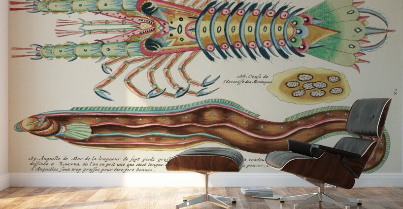 Colourful and surreal illustrations of fish and lobster found in Moluccas Indonesia and the East Indies by Louis Renard 1678 -1746 from Histoire naturelle des plus rares curiositez de la mer des Indes 1754. Wall Murals