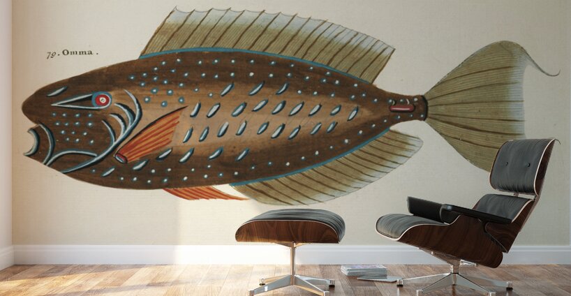 Colourful and surreal illustrations of fishes found in Moluccas Indonesia and the East Indies by Louis Renard 1678 -1746 from Histoire naturelle des plus rares curiositez de la mer des Indes 1754. Wall Murals