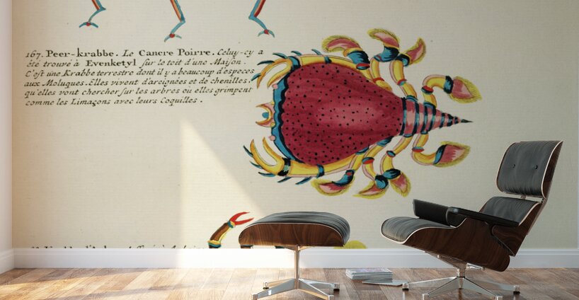 Colourful and surreal illustrations of fishes and crabs found in Moluccas Indonesia and the East Indies by Louis Renard 1678 -1746 from Histoire naturelle des plus rares curiositez de la mer des Indes 1754. Wall Murals