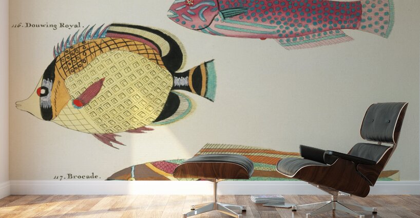 Colourful and surreal illustrations of fishes found in Moluccas Indonesia and the East Indies by Louis Renard 1678 -1746 from Histoire naturelle des plus rares curiositez de la mer des Indes 1754. Wall Murals